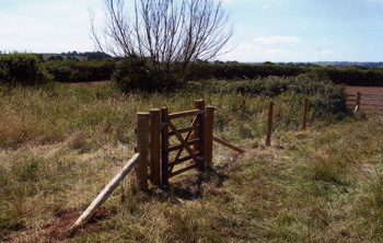 4 foot wooden gate and fencing